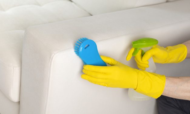 Nettoyer des tâches de graisse sur un canapé en cuir : conseils et astuces Efficaces