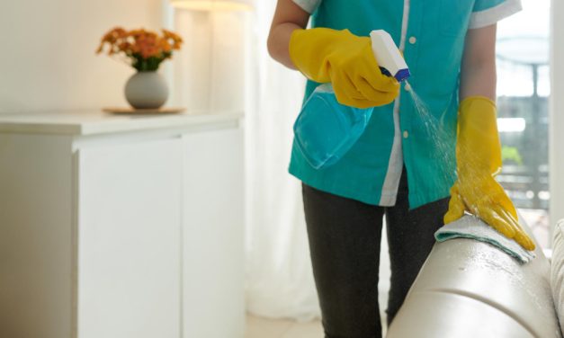 Nettoyage du canapé en cuir : Astuces naturelles et conseils pour un nettoyage à l&rsquo;aide de liquide vaisselle !